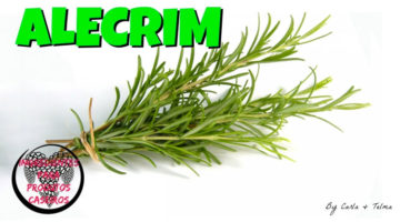 Alecrim